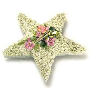 Star flower tribute